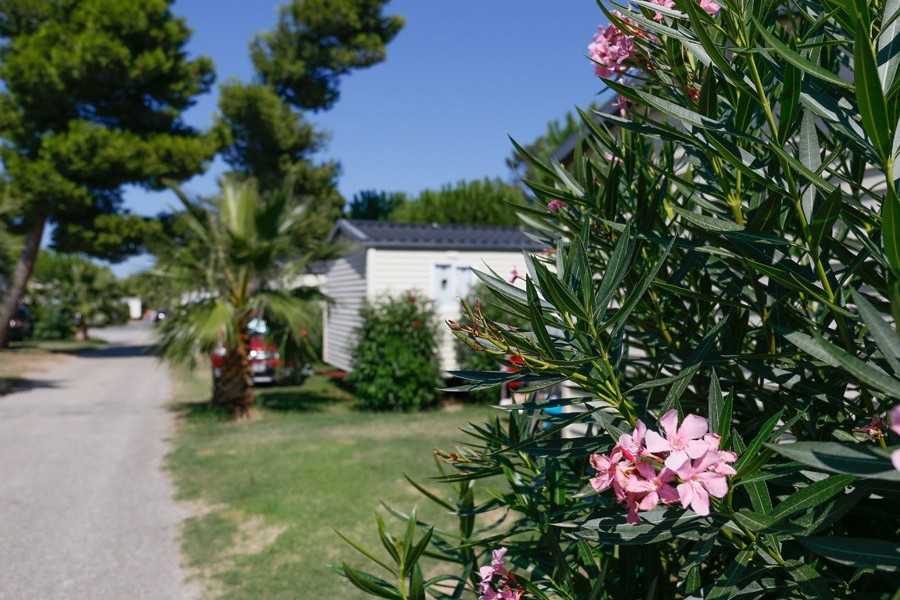 Mobil-home Camping LE BOSC D'EN ROUG**** acheter à vendre Saint-Cyprien